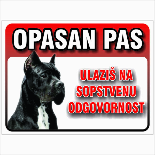 CANE CORSO 1