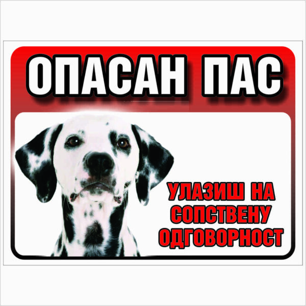 DALMATINAC 1