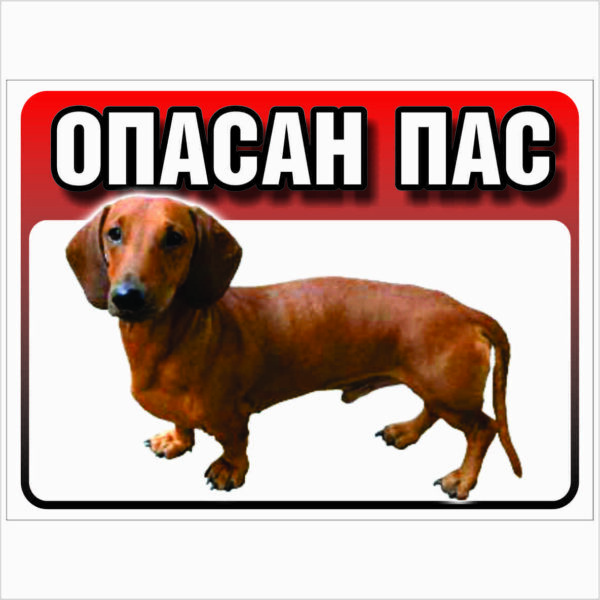JAZAVIČAR